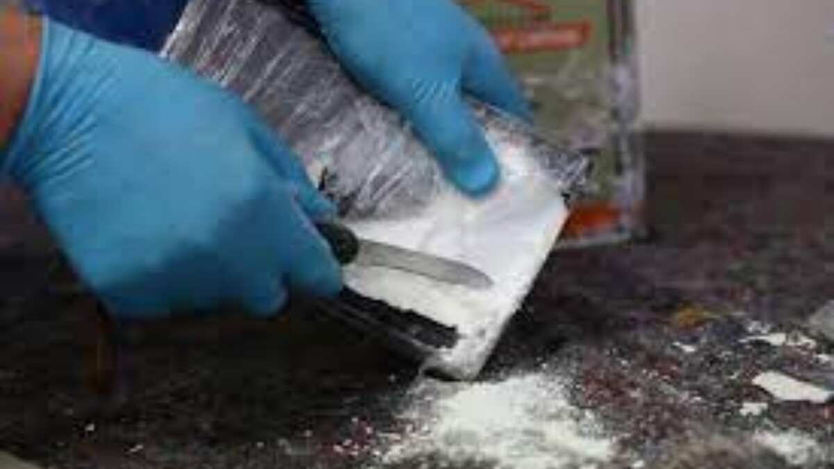 Kerala's drug issue escalates, as cases jump by 300 per cent in six years Kerala's drug issue escalates, as cases jump by 300 per cent in six years