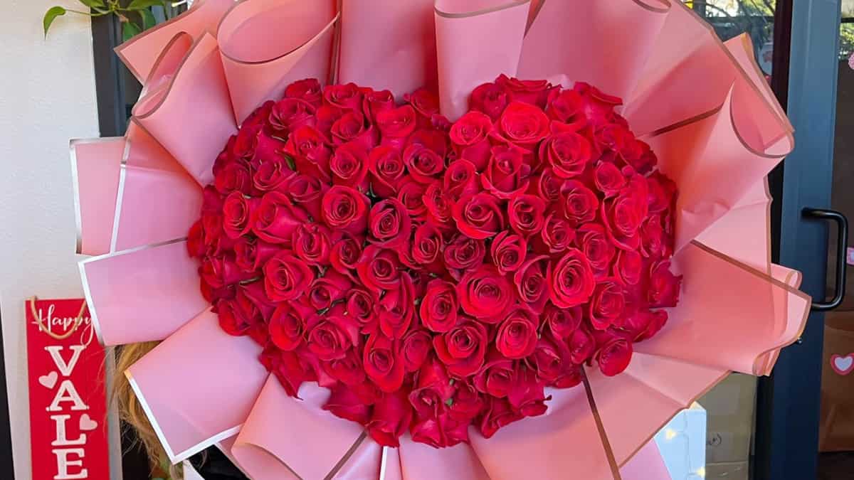 Happy Rose Day 2023: Wishes, Images, Photos, Greetings, Quotes, Pics for Girlfriend, Boyfriend & Husband, Wife Happy Rose Day 2023: Wishes, Images, Photos, Greetings, Quotes, Pics for Girlfriend, Boyfriend & Husband, Wife