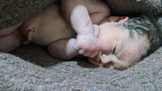 'Miracle amid devastation': Baby born under rubble; rescued after Syria, Turkey earthquake. Watch!