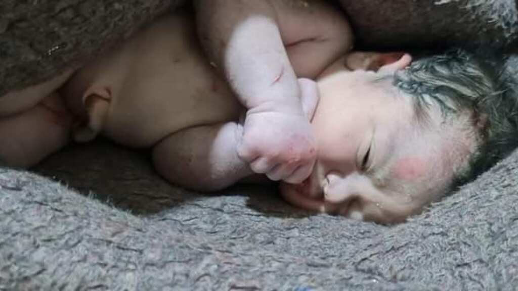 'Miracle amid devastation': Baby born under rubble; rescued after Syria, Turkey earthquake. Watch!