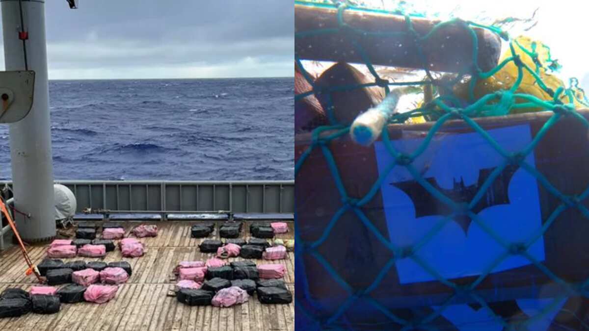 Cocaine worth $300 million with batman stickers found floating in New Zealand Cocaine worth $300 million with batman stickers found floating in New Zealand