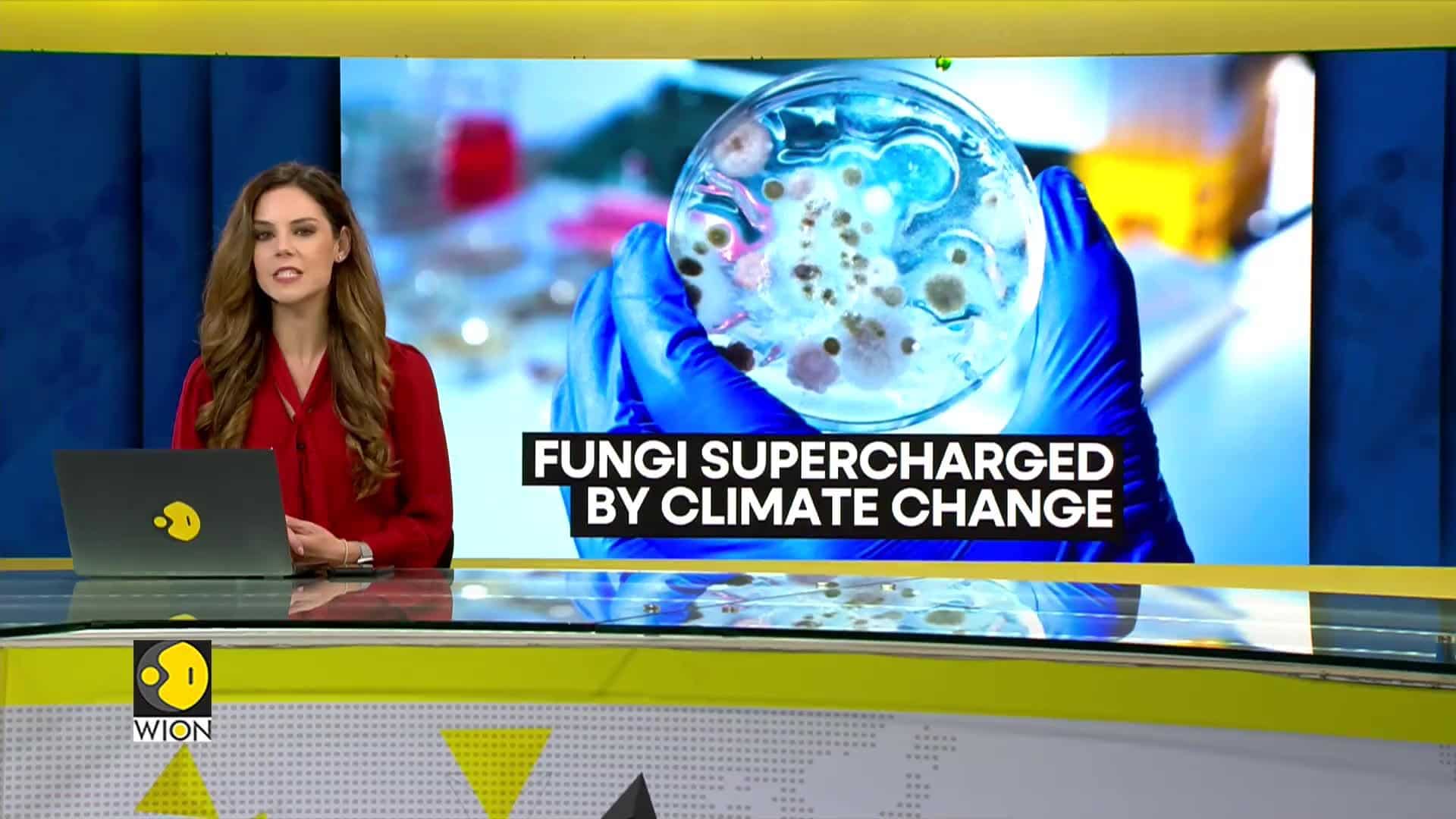 pathogenic-fungi-dangerous-to-humans-wion-climate-tracker-world-news