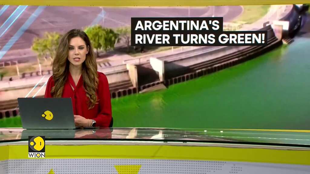 Potential toxic bacteria turns Argentina's river plate green | WION Climate Tracker