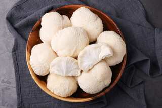 Scientists discover mushroom capable of magnifying memory, boosting nerve growth: Study