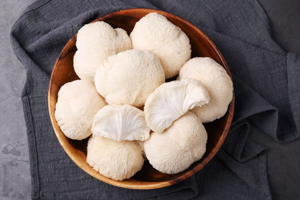 Scientists discover mushroom capable of magnifying memory, boosting nerve growth: Study