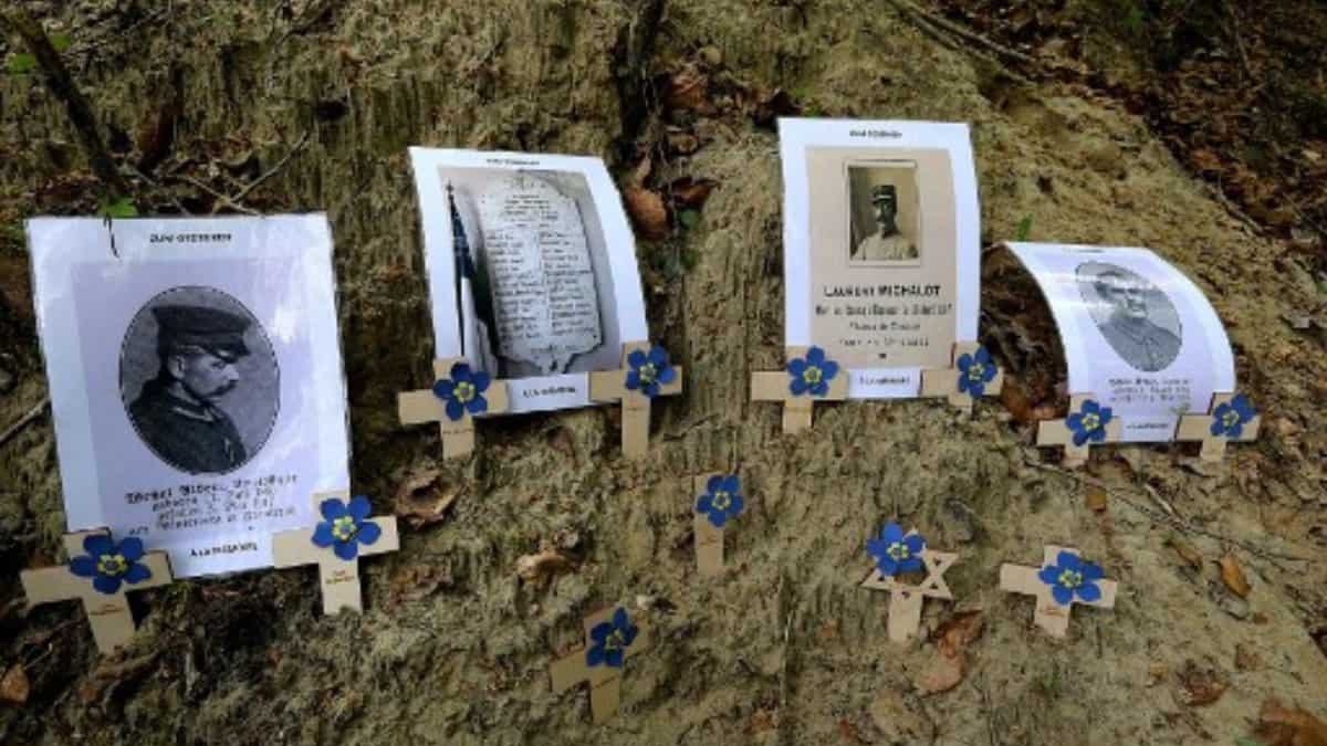 Germany decides to not excavate remains of soldiers who died during WWI: Report Germany decides to not excavate remains of soldiers who died during WWI: Report