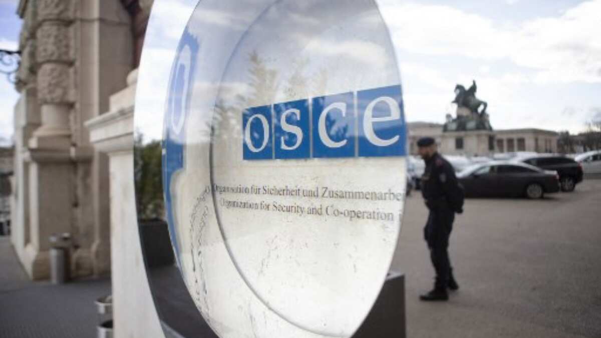 Austria faces criticism for granting visas to sanctioned Russian lawmakers for the upcoming OSCE meeting Austria faces criticism for granting visas to sanctioned Russian lawmakers for the upcoming OSCE meeting