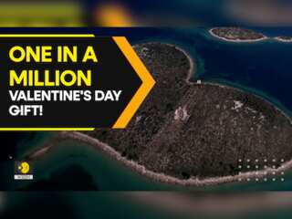 This heart-shaped island is up for sale ahead of Valentine's Day