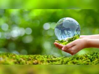 A wild plan to save Earth from Climate Change