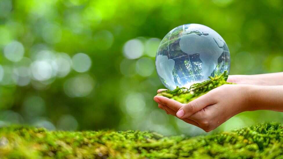 A wild plan to save Earth from Climate Change