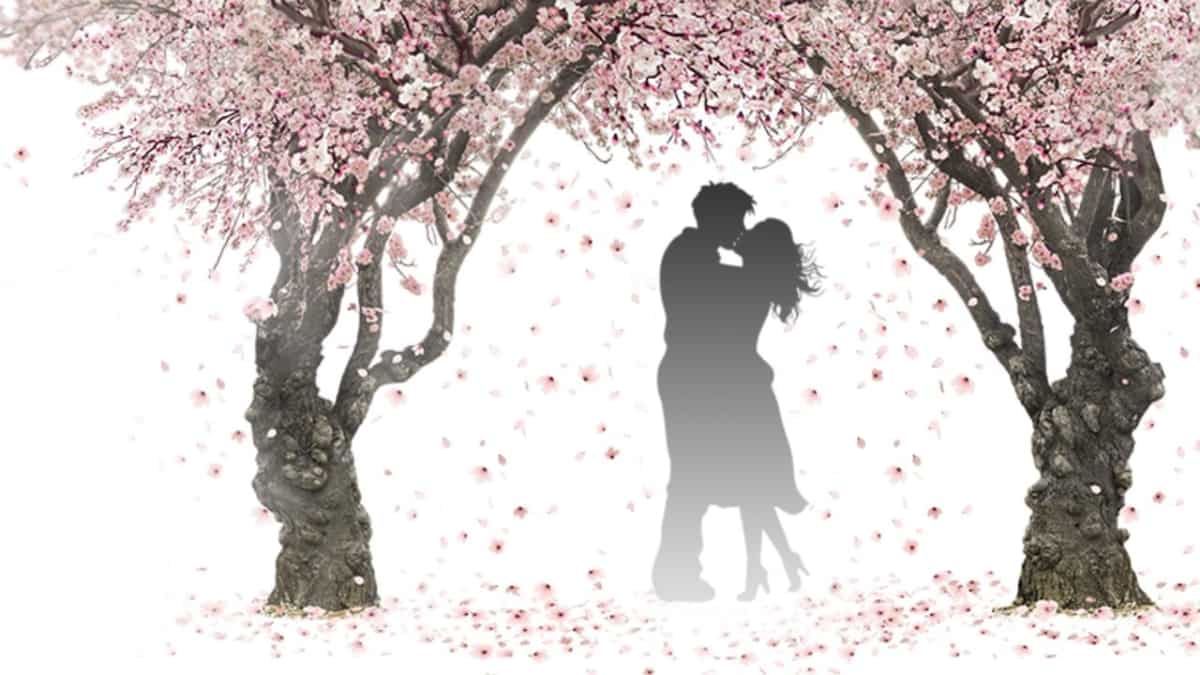 Valentine’s Day 2023: Share 143 Wishes, Images, Messages, Love Quotes and Status. What is the meaning of 143? Valentine’s Day 2023: Share 143 Wishes, Images, Messages, Love Quotes and Status. What is the meaning of 143?