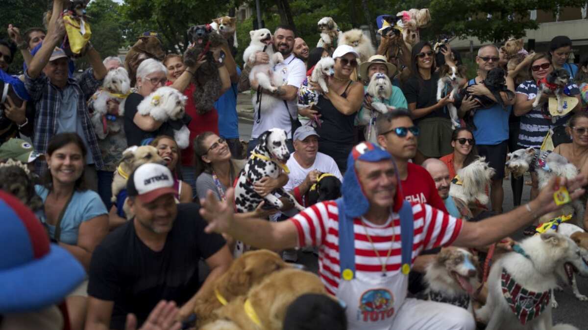 The dogged charm of "Blocao" parade