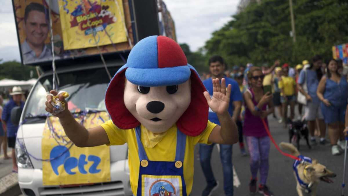 At 'Blocao', the attendees are dogs and dog lovers