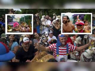 In pics | Before Rio carnival, Brazilians spread the dogged charm of parades