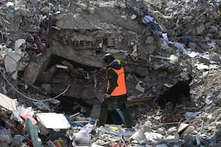 Turkey-Syria earthquake: Mother-son duo, two others among miraculous rescues from rubble