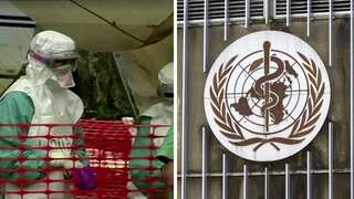 Equatorial Guinea confirms Marburg virus outbreak, suspected cases in Cameroon: Here's what we know so far