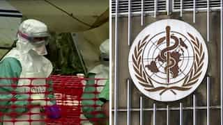 Equatorial Guinea confirms Marburg virus outbreak, suspected cases in Cameroon: Here's what we know so far