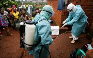 Explained: Marburg virus outbreak reaches Cameroon, know about symptoms, treatment and origin