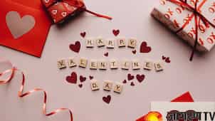 Gravitas: Valentine's Day: what's the fuss about?