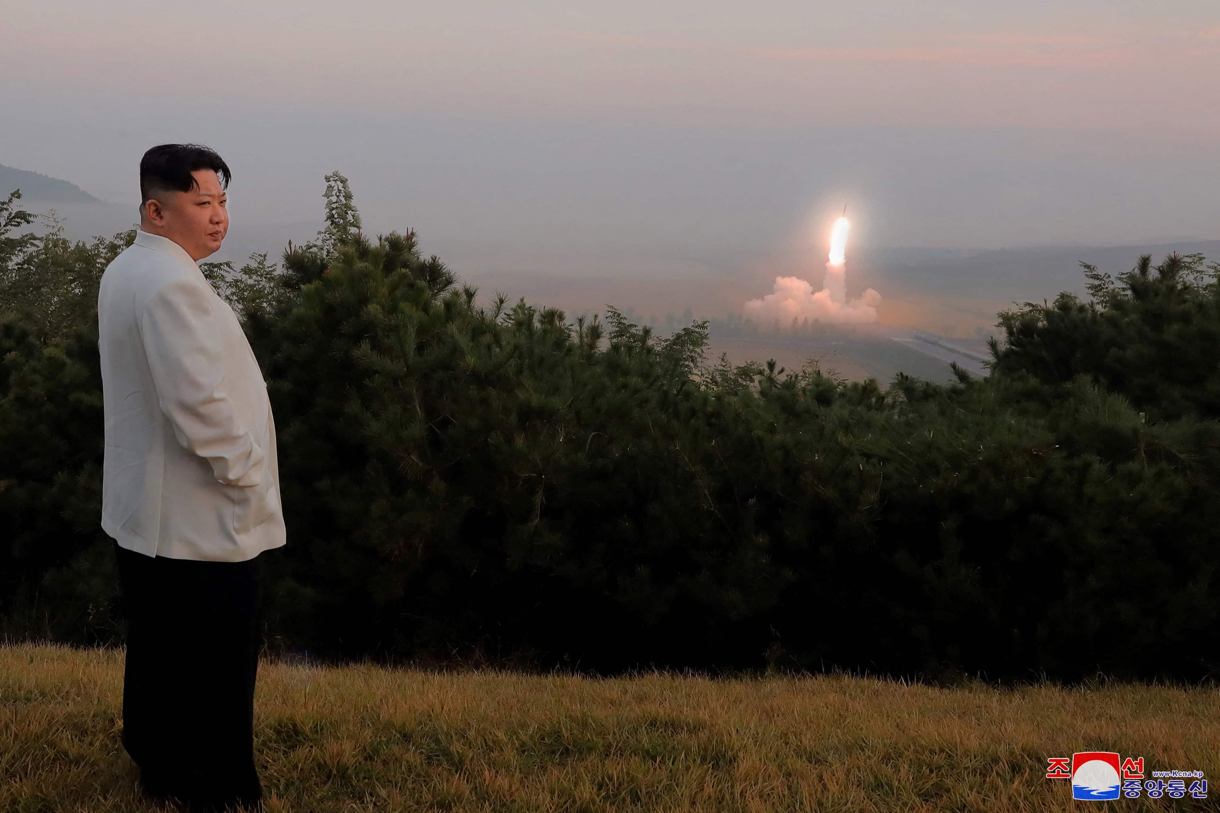 Identity Theft Case Reveals Shocking North Korea Link: 8 Years In Jail - m669mjf