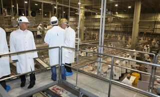 Over 100 minors illegally employed in hazardous conditions, US firm fined $1.5 million