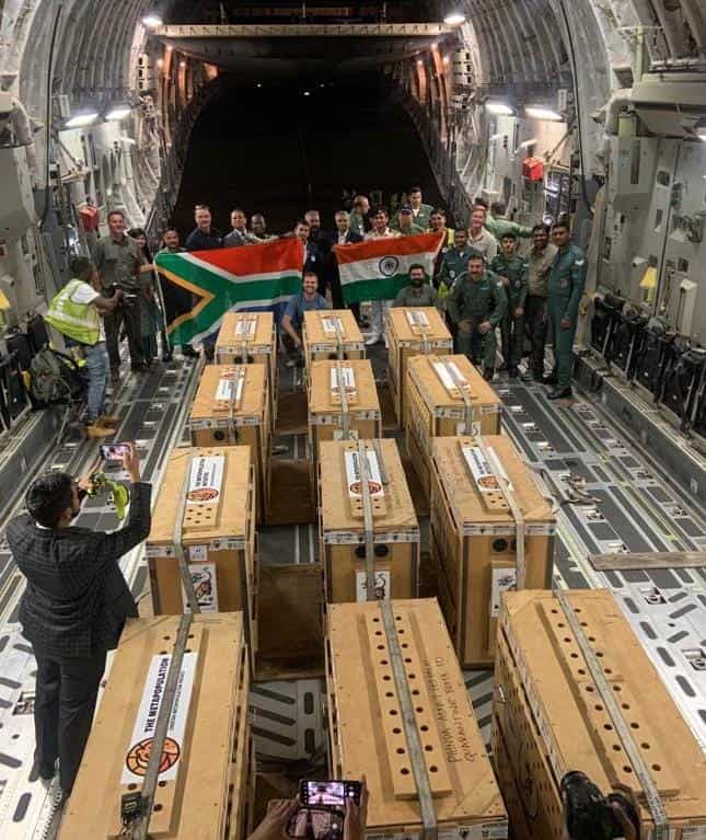 12 cheetahs from South Africa welcomed in India, released in Kuno National Park: A 10-point wrap 12 cheetahs from South Africa welcomed in India, released in Kuno National Park: A 10-point wrap