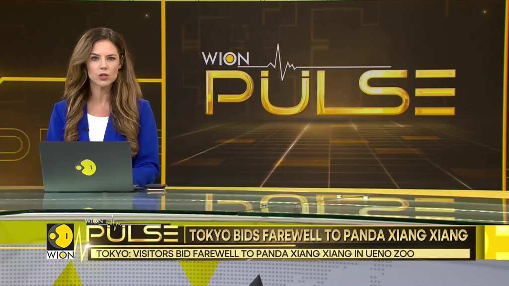 Tokyo bids farewell to Panda Xiang Xiang before being handed over to China | World News | WION