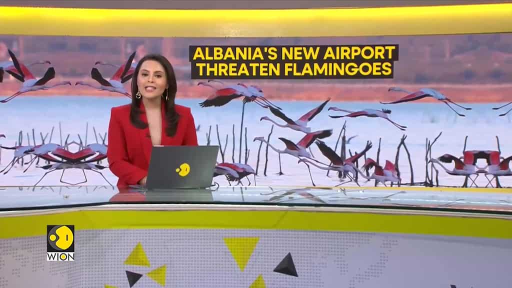 Albania Airport poses threat to birds