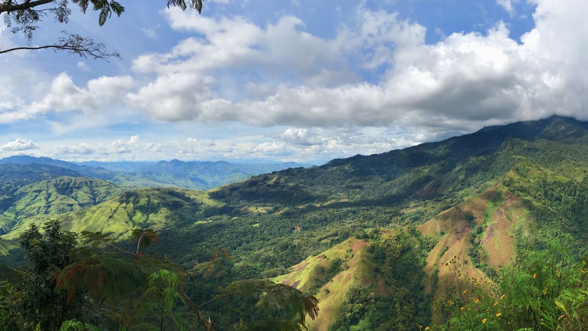 Australian professor taken hostage in Papua New Guinea's highlands, says PM Marape Australian professor taken hostage in Papua New Guinea's highlands, says PM Marape