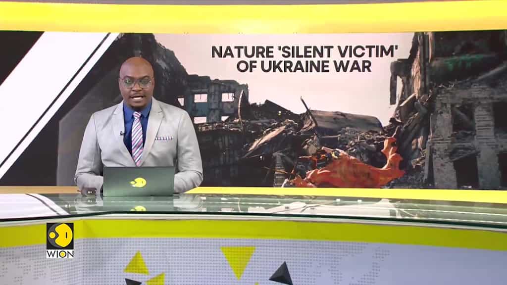 Ukraine counts war's cost for nature
