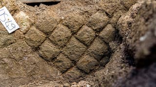 What was once thought to be a textile tool may be a 2,000-year-old Roman 'sex toy'