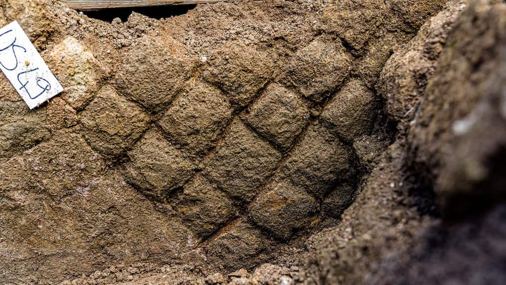 What was once thought to be a textile tool may be a 2,000-year-old Roman 'sex toy'