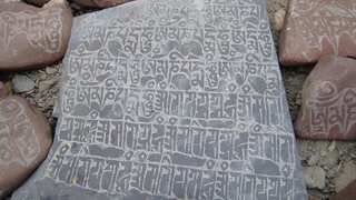 Sanskrit or Tamil, which is the oldest language in the world? Here's what we know