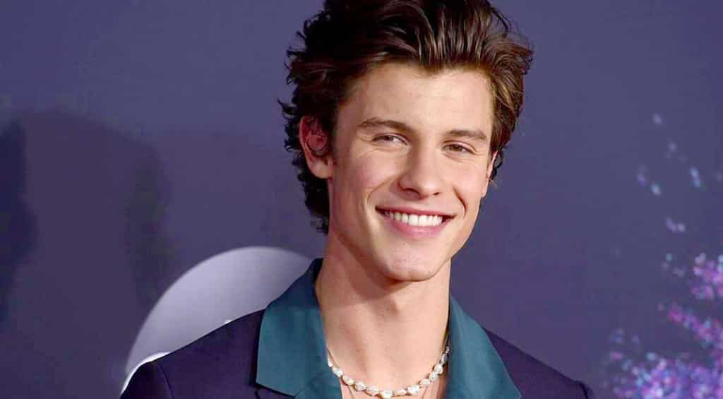 Shawn Mendes reveals how therapy helped him become 'better version of himself'