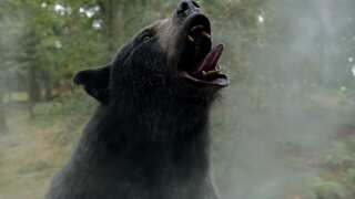 Cocaine Bear: A movie based on an actual bear that consumed $2mn worth of cocaine