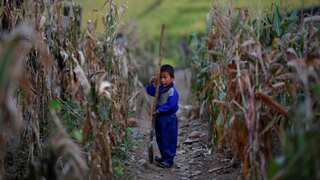 Even as the nation reels from hunger, North Korean state paper calls outside aid 'poisoned candy'