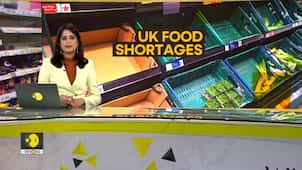 Gravitas: Why are shelves empty in the UK?