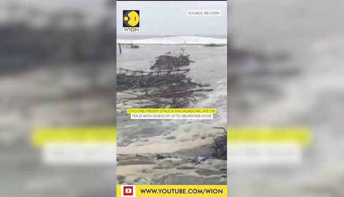 WionNews Video