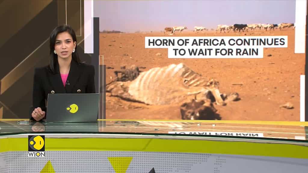 Horn of Africa likely to get no rainfall | WION Climate Tracker