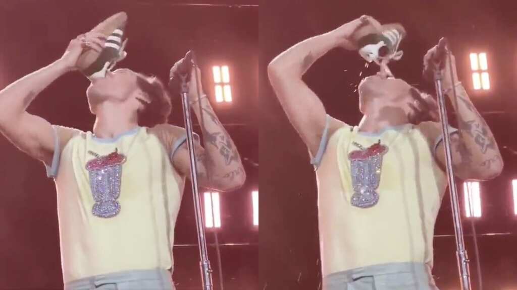 Harry Styles drinks from a shoe in viral video. Fans react!
