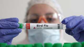11-year old girl dies in Cambodia’s first bird flu case since 2014