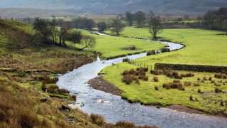 High levels of ‘forever chemicals’ found at 17,000 sites across UK and Europe: Report