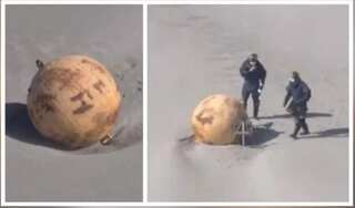 Mysterious sphere discovered on Japanese beach removed, netizens voice embarrassment 