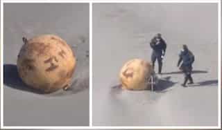 Mysterious sphere discovered on Japanese beach removed, netizens voice embarrassment 