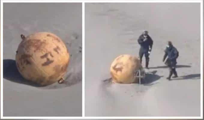 Mysterious sphere discovered on Japanese beach removed, netizens voice embarrassment 