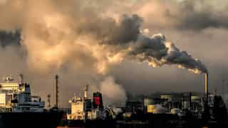Air pollution obstructs lung development in children, reveals new research