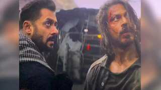 Tiger and Pathaan reunite! Shah Rukh Khan shoots cameo for Salman Khan's Tiger 3. Watch!