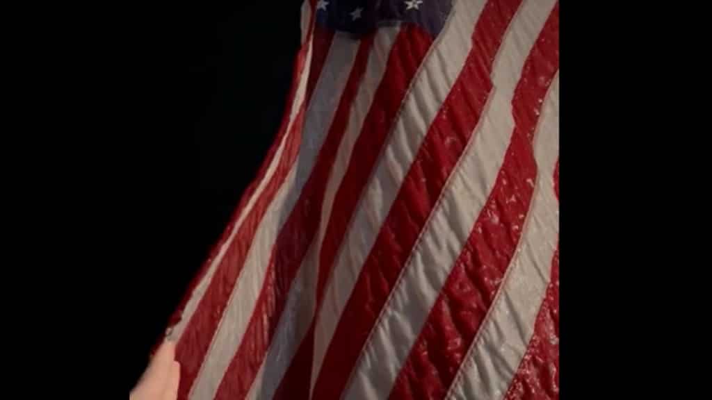 WATCH | US flag freezes in Michigan's powerful ice storm, leaves internet stunned