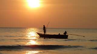 Fish tested in two Michigan rivers contain ‘forever chemicals’, harmful on consumption: Study