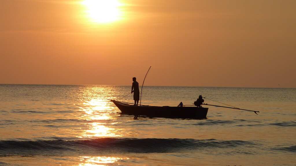 Fish tested in two Michigan rivers contain ‘forever chemicals’, harmful on consumption: Study